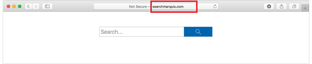 remove search marquis